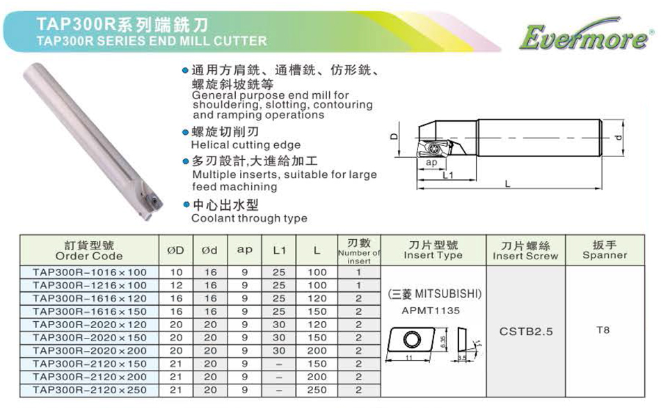 TAP300R系列端銑刀_01.jpg